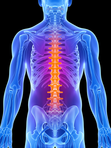 spinal cord accidents