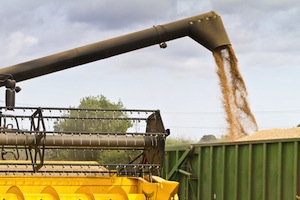 grain auger accident