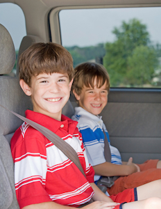 seatbelt requirements