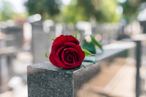 Rose over a tombstone